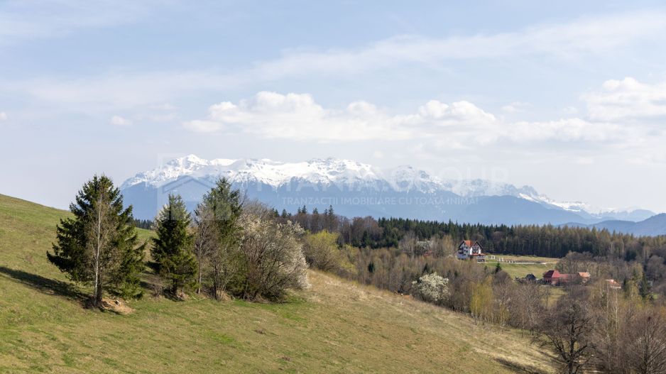 Teren intravilan în Poiana Mărului, 3.791 mp cu priveliste panoramica - Poză 10