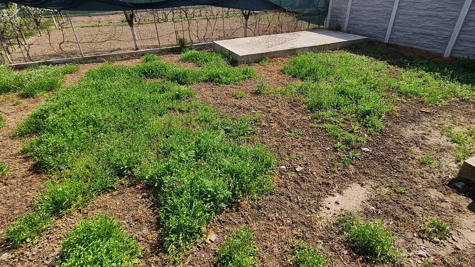 Duplex construcție pe parter in Parta - Poză 23