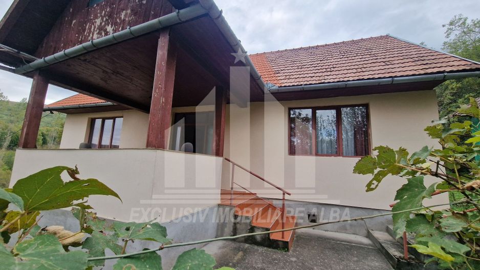 Casa cu livada in Cetea - Poză 14