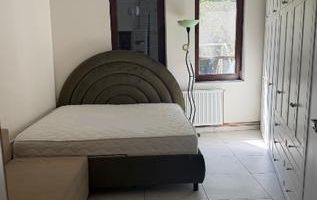 De închiriat: casa curte proprie Cotroceni Carol Davila - Poză 3