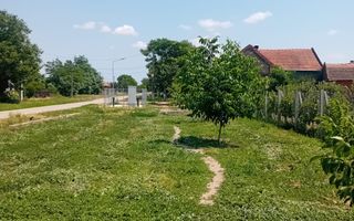 Vand/Schimb Livada Belint 16000mp - Poză 12