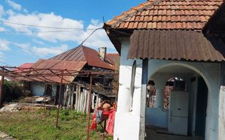 Casă cu hală industrială Drăguțești - Poză 3