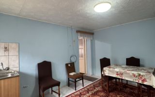 De vânzare Casă în Grădiște, curte + grădină proprie generoasă Arad - Poză 19