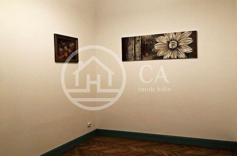 Apartament cu 4 camere de inchiriat, zona ultracentrala, Oradea - Poză 13