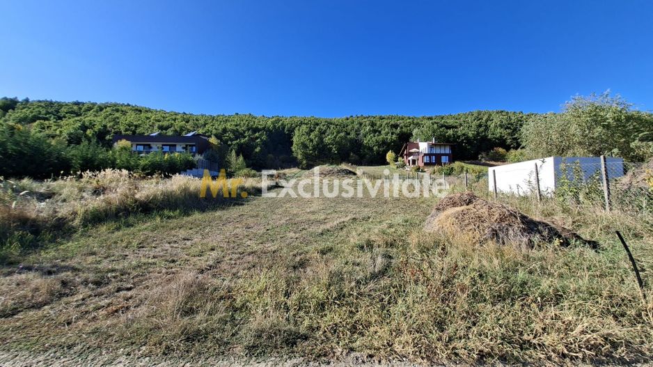 Teren 2090 mp Stefanesti-Rebreanu zona superba - Poză 4
