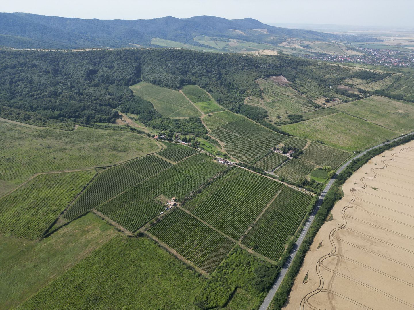 Vie Tradițională „Halta Lupilor” - Poză 27