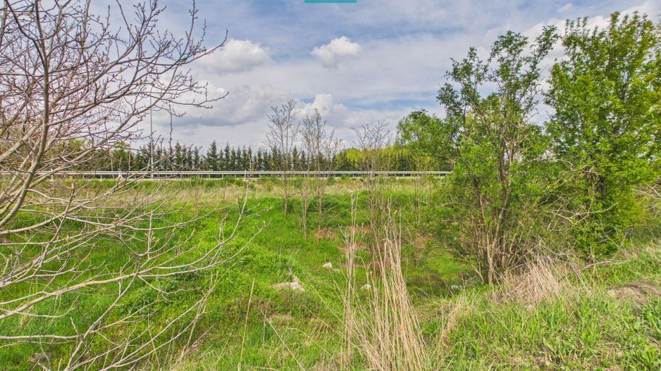 Teren extravilan 2050 mp, Giroc - Poză 4