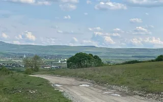 Teren extravilan 10000 mp, Jelna. - Poză 11