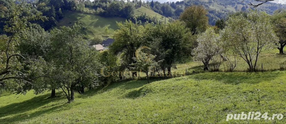 Teren Moieciu de Jos - Poză 2