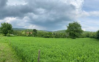 Domeniu 15.900 mp în Fințești | Casă + Investiție Dealu Mare - Poză 9