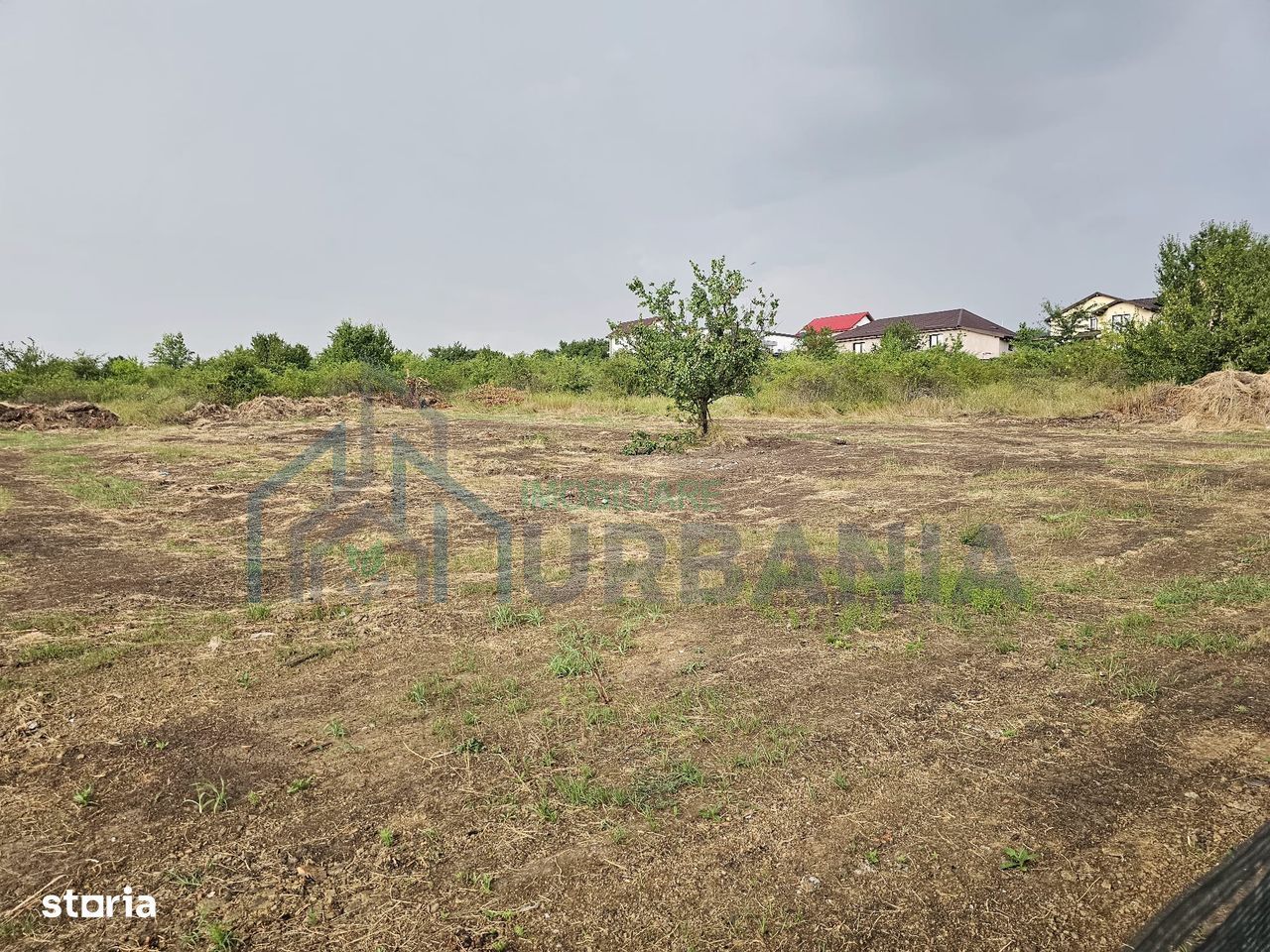 Teren intravilan 2.212 mp Miroslava – 5 Drumuri Asfalt + utilități - Poză 3