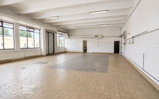 Hala Industriala Premium, Zona de Sud, Timisoara - Poză 2