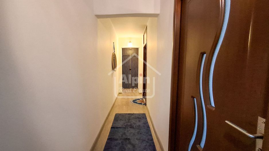 Suprafata Generoasa I Zona Gemenii - Poză 12