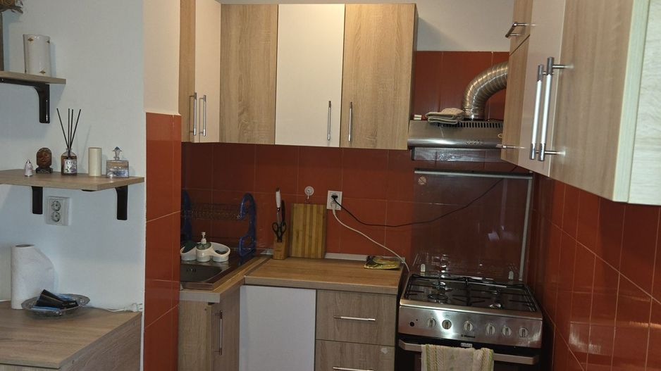 De Inchiriat apt 2 camere - Lacul Tei - Poză 4