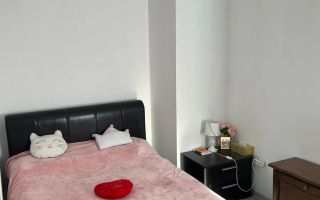 Apartament cochet cu doua camere, Tineretului-Sincai, 148.000€ - Poză 4