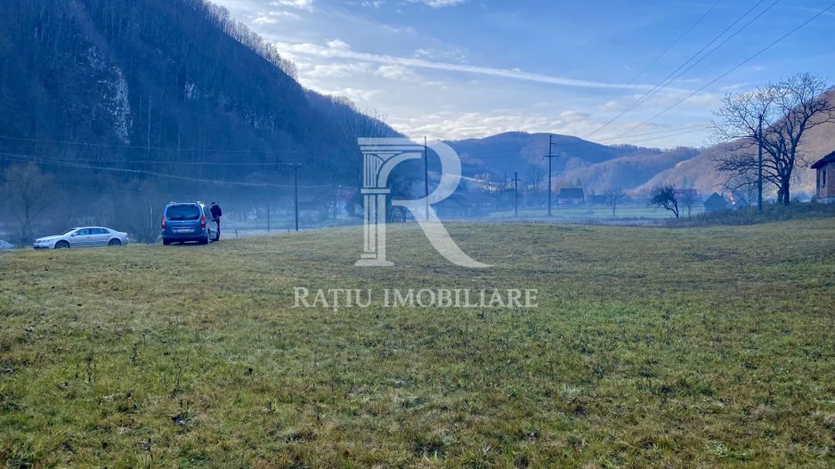 OPORTUNITATE DE INVESTIȚIE | TEREN INTRAVILAN | 1.500 MP | APROAPE DE APĂ | BULZ - Poză 2