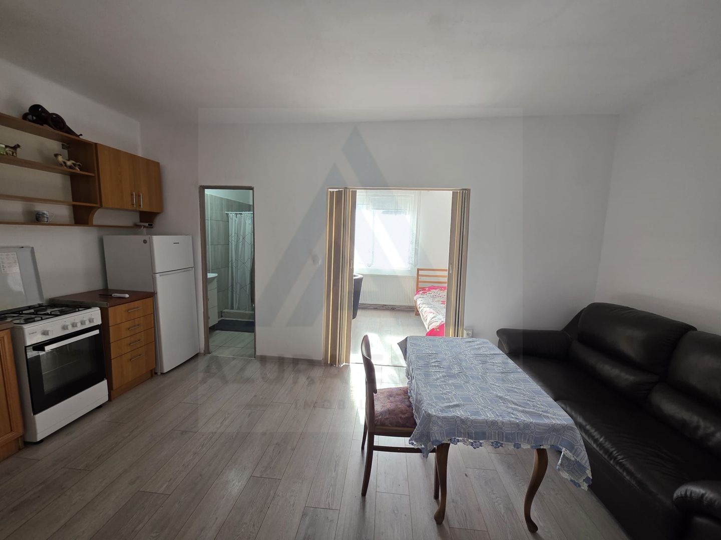 Studio la curte utilat complet cu terasa  zona Lazaret - Poză 1