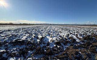 🌾 Teren extravilan de vânzare | Horodnic de Sus | 45 Ari  🌾 - Poză 2