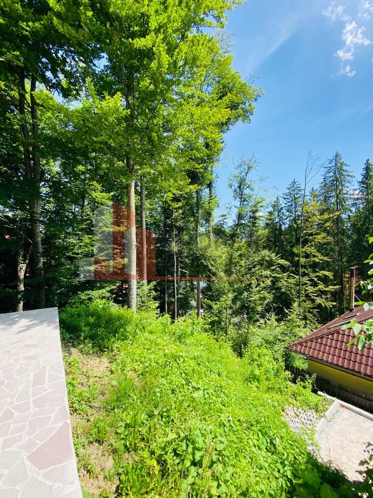 Vila Sinaia - Poză 50