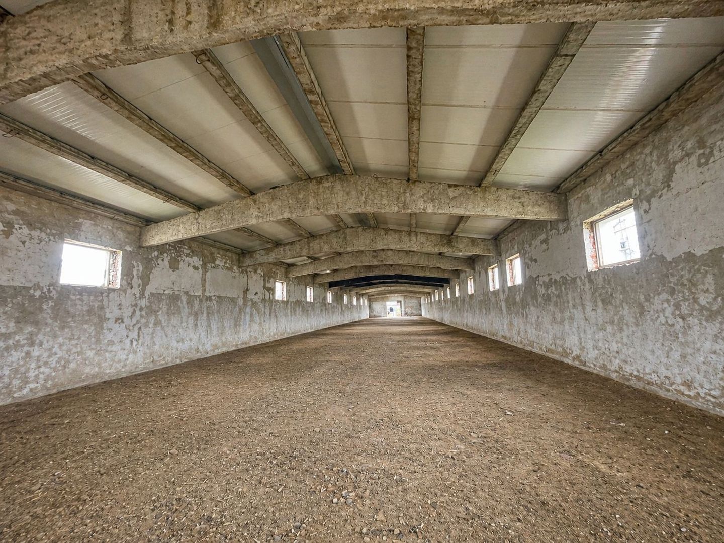 Hala Industrială / Agricolă | 800 MP Construcție + 800 MP Teren | - Poză 2