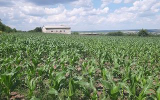 Teren cu spații industriale sau depozitare - Poză 1
