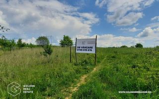 Teren intravilan 2880 mp, DJ 572 Lipova - Poză 1