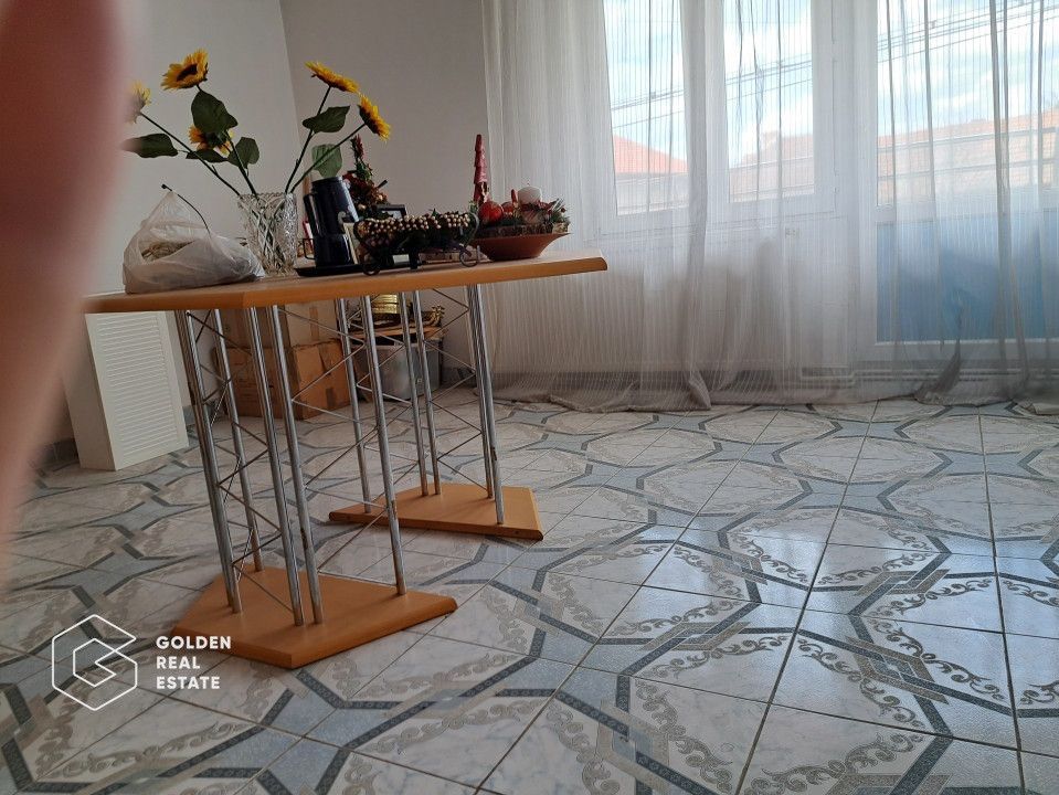 Casa mare cu 2 spatii comerciale, in Faget - Poză 14