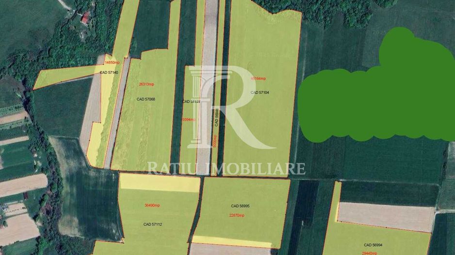 Teren agricol 19,87ha | Acces la drum public | Tileagd | Bihor - Poză 1