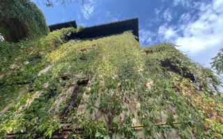 VILA INDIVIDUALA CISMIGIU | INTR. TEMISANA - Poză 13