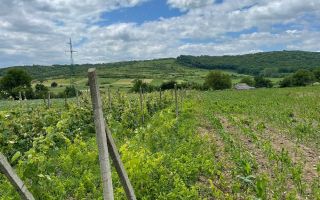 # De vanzare Casa 3 camere si teren 2000 mp com. Schitu Duca - Poză 9