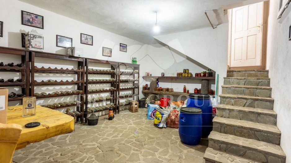 Oportunitate Rară – Vilă pe Malul Lacului Snagov | Piscina | Ponton | COMISION 0 - Poză 58