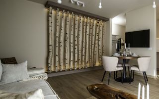 Apartament deosebit  2 camere zona Lipovei - Poză 8