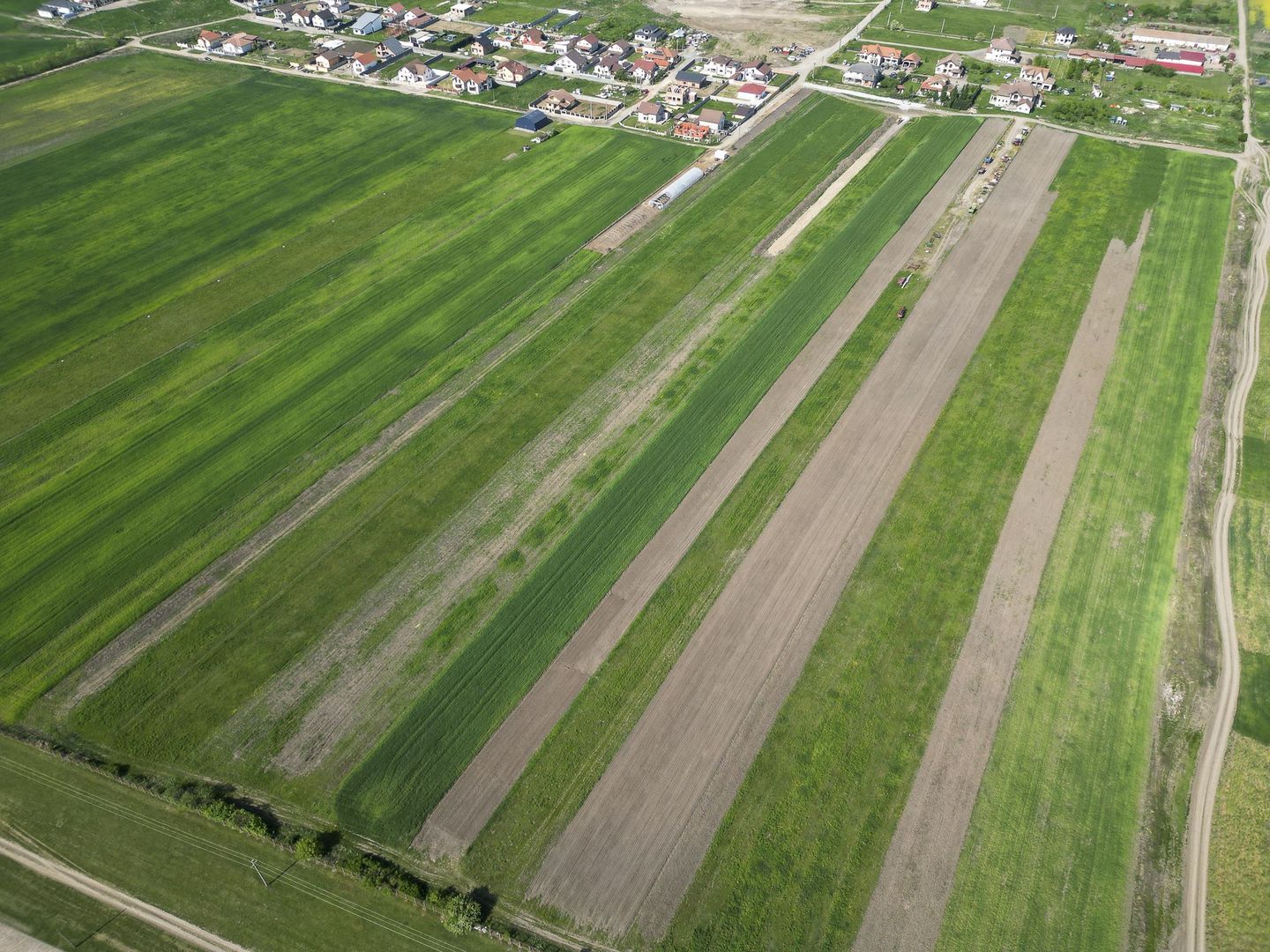 Loc de casa de 504 mp în Livada - Poză 3