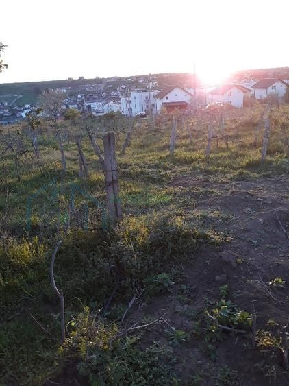 Teren de vânzare în zona Vișan, Iași - Poză 5