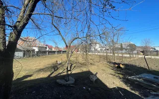 CASA RENOVATA + TEREN 3100 MP | CURTE SI GRADINA | FRATAUTII NOI - Poză 21