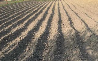 Casa Individuala I Acces Auto I Gradina I Rusi - Poză 4