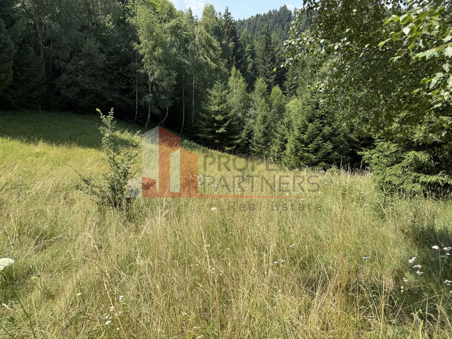 Teren de vânzare – Bran, sat Poarta - Poză 5