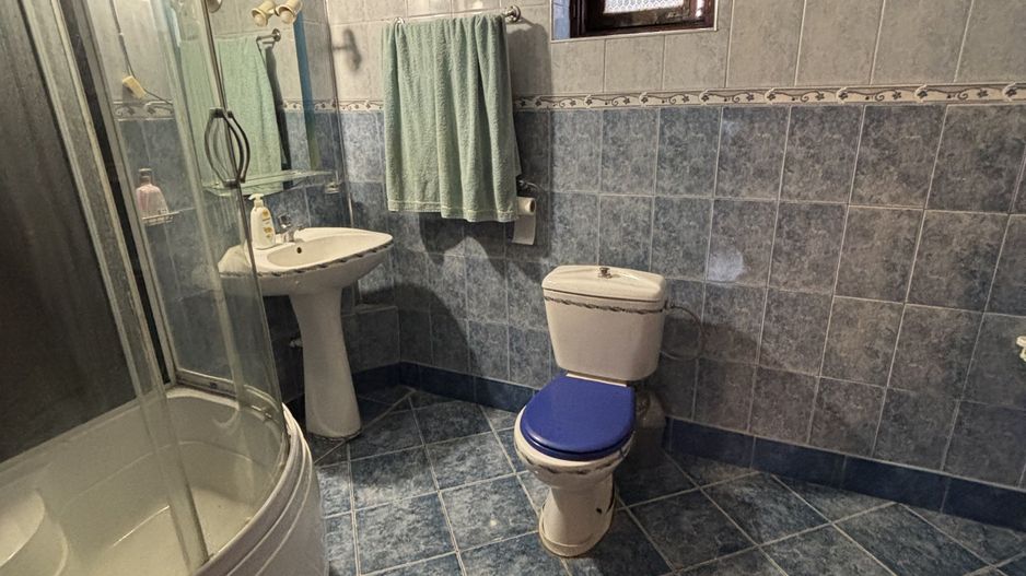 Casă P+1+M de vânzare în Rovine – zona Vasile Alecsandri/Nicolae Iorga - Poză 8