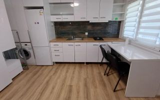 Studio Modern -Copou-Universitate- Cuza/ Medicina - UMF - Poză 10