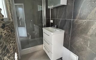 Casa Individuala I 2 Camere I Garaj I Central I Saliste - Poză 3