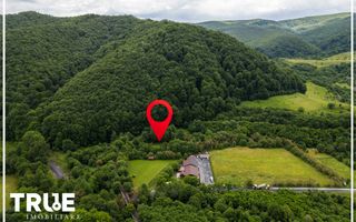 Teren intravilan 2.800 m² în Câmpu Cetății – liniște și natură - Poză 9