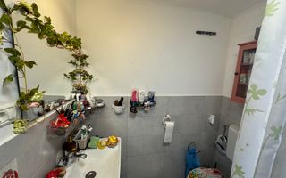 Casa individuala in Arpasu de Sus, teren mare, partial renovata - Poză 16