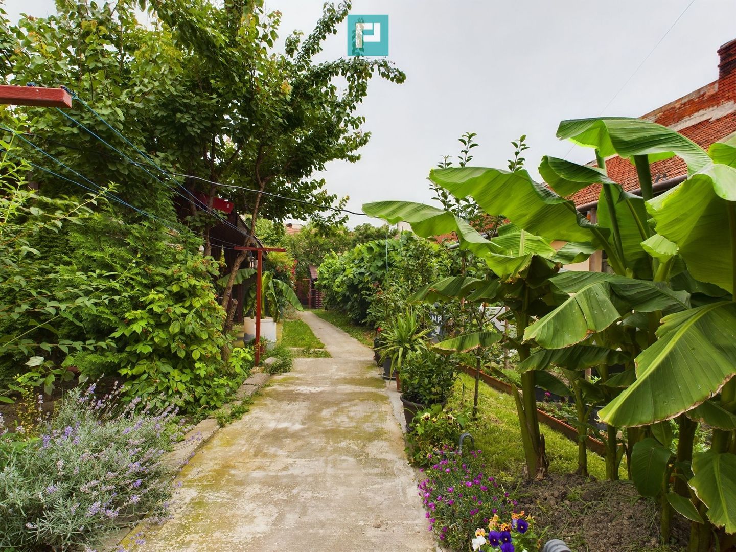 Apartament 2 camere la curte comună - Poză 2