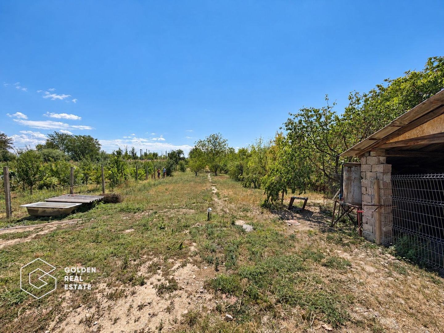 Casa cu teren 1957 mp, comuna Paulis - Poză 20