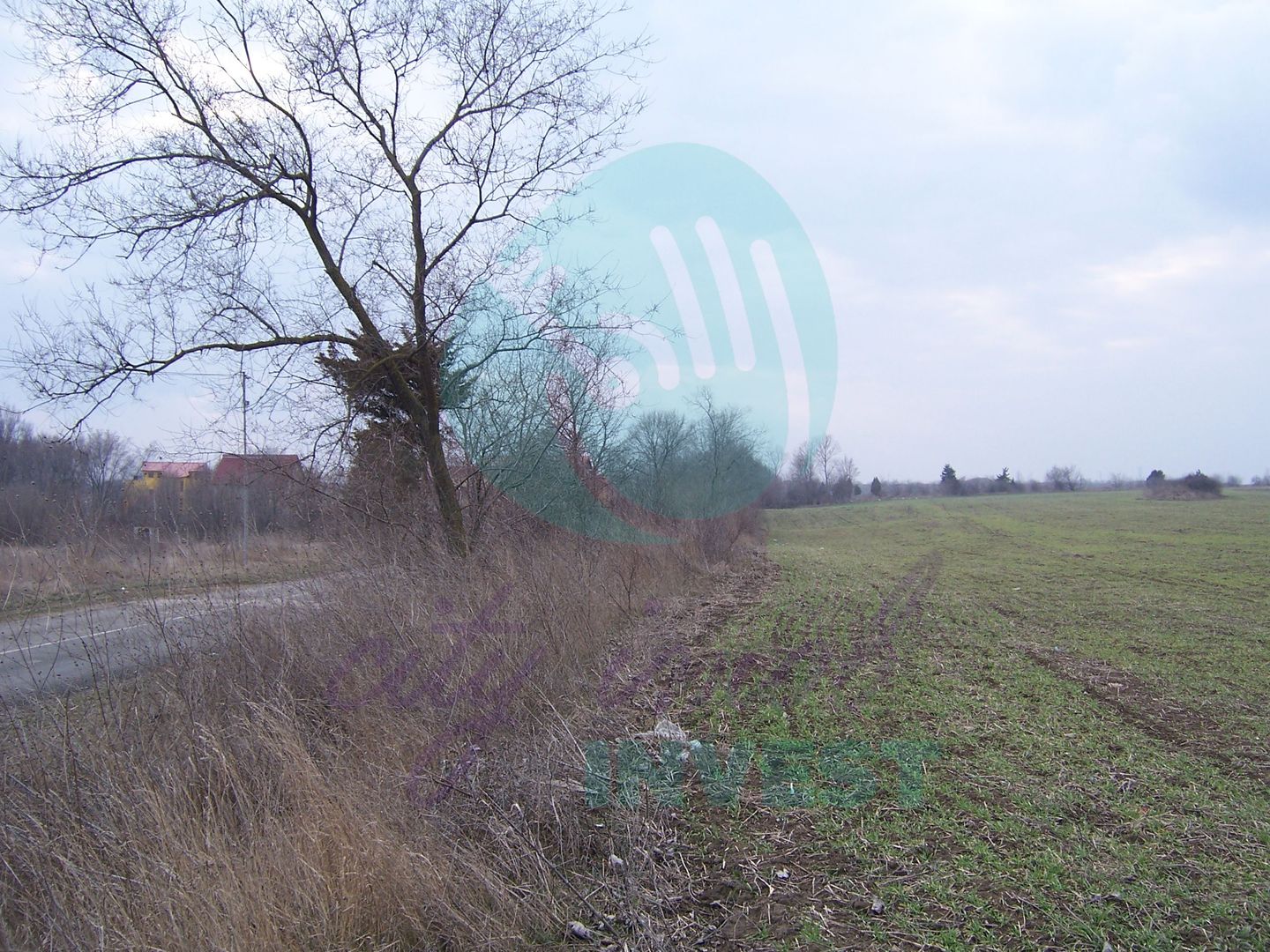 Teren constructii intravilan de 1000 mp, Venus - Poză 2