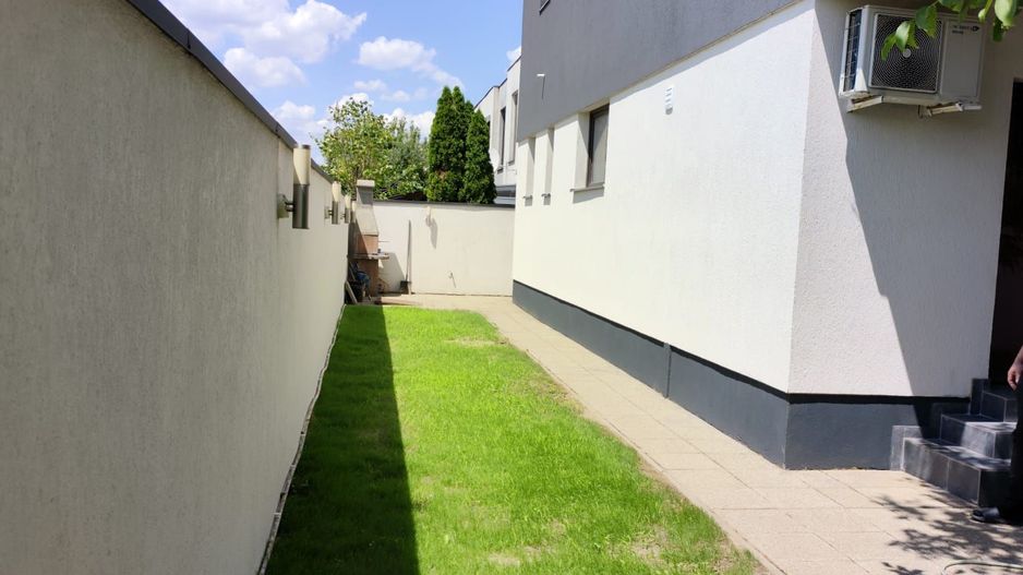 Padurea Craiului - Poză 5