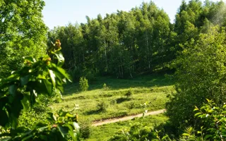 Locuință, Casă de Vacanță sau Business | 1.582 mp teren | Feleacu - Poză 27