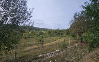 Teren intravilan, utilități, Corbi, Argeș – zonă turistică superbă - Poză 7