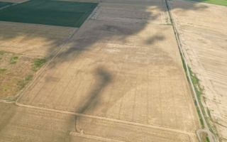 AFACERE COMPLETĂ SORTARE DEȘEURI + TEREN 66,49 HA - Poză 2