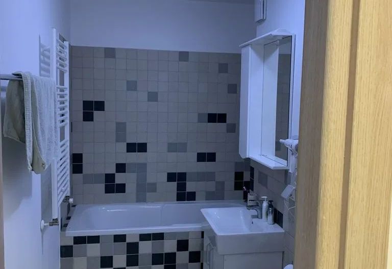 Apartament 2 camere Tineretului - Poză 8